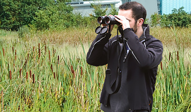 bird watching and wildlife monitoring in the wetlands nature reserve at the wellcome genome campus